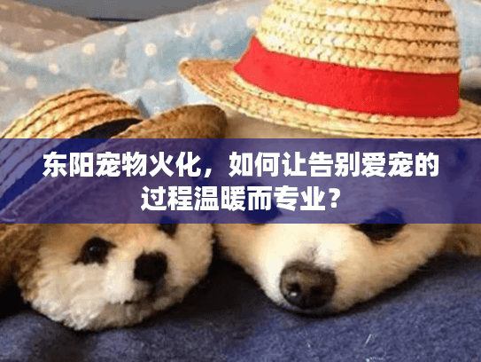 东阳宠物火化，如何让告别爱宠的过程温暖而专业？