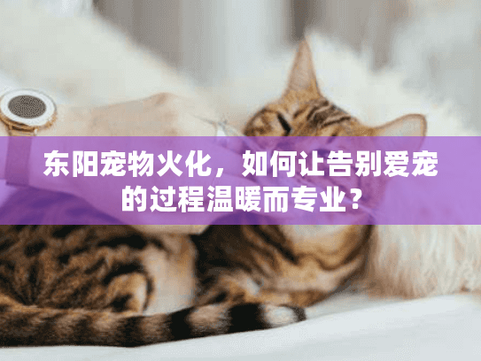 东阳宠物火化，如何让告别爱宠的过程温暖而专业？