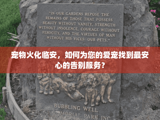 宠物火化临安，如何为您的爱宠找到最安心的告别服务？