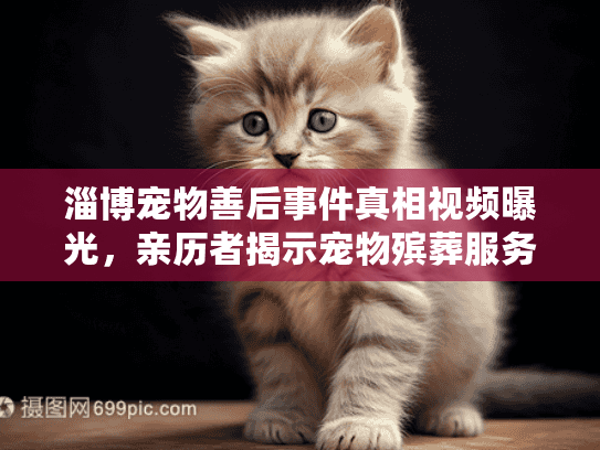 淄博宠物善后事件真相视频曝光，亲历者揭示宠物殡葬服务暗坑陷阱