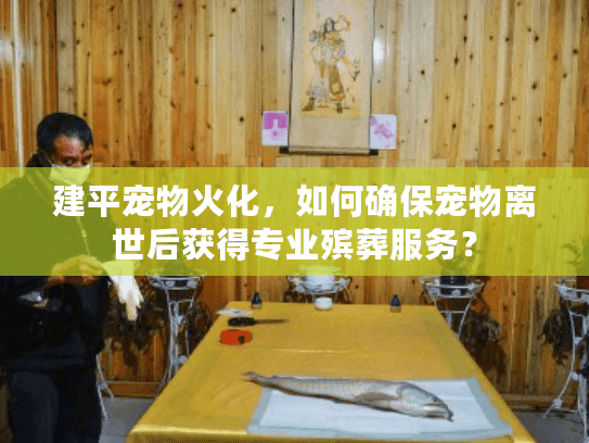 建平宠物火化，如何确保宠物离世后获得专业殡葬服务？