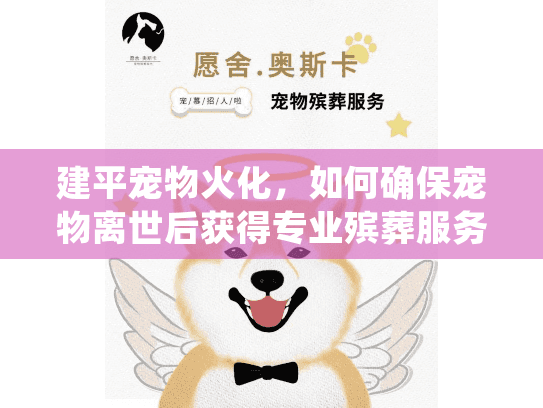 建平宠物火化，如何确保宠物离世后获得专业殡葬服务？