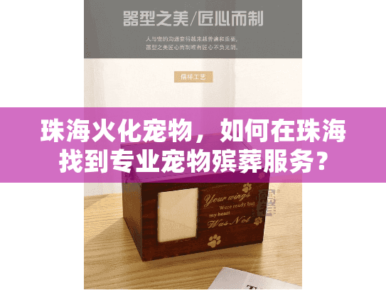 珠海火化宠物，如何在珠海找到专业宠物殡葬服务？
