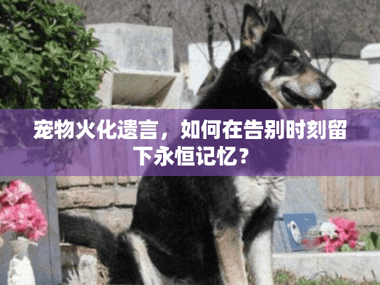 宠物火化遗言，如何在告别时刻留下永恒记忆？