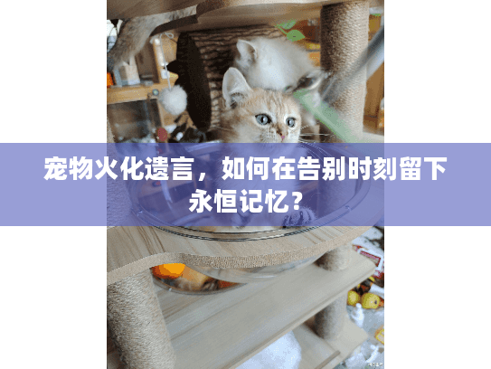 宠物火化遗言，如何在告别时刻留下永恒记忆？