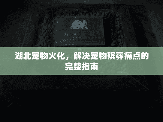 湖北宠物火化，解决宠物殡葬痛点的完整指南