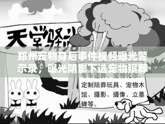 郑州宠物身后事件视频曝光警示录，曝光阴影下选宠物殡葬的避坑实战