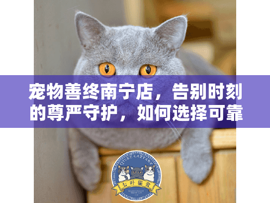 宠物善终南宁店，告别时刻的尊严守护，如何选择可靠服务？
