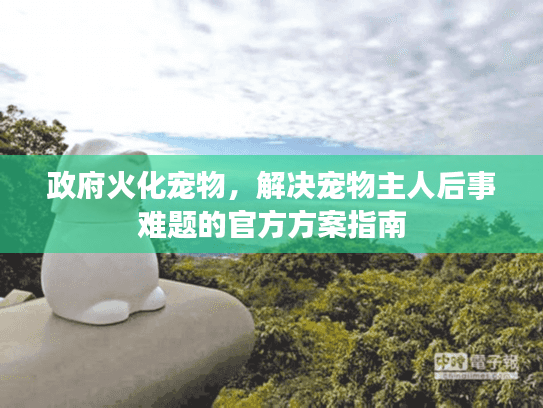 政府火化宠物，解决宠物主人后事难题的官方方案指南