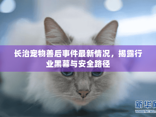 长治宠物善后事件最新情况，揭露行业黑幕与安全路径