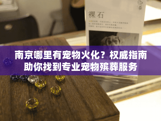南京哪里有宠物火化？权威指南助你找到专业宠物殡葬服务