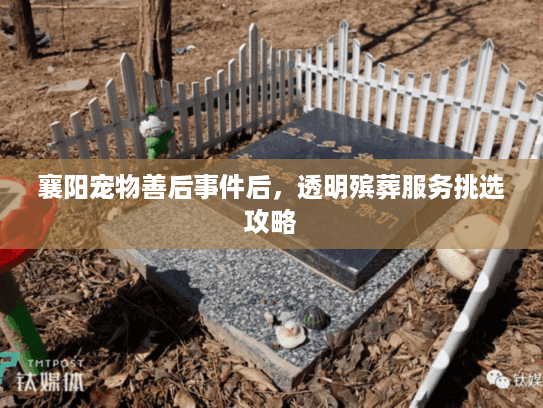 襄阳宠物善后事件后，透明殡葬服务挑选攻略