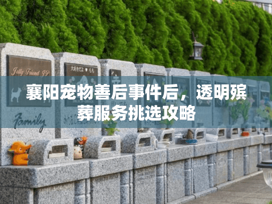 襄阳宠物善后事件后，透明殡葬服务挑选攻略