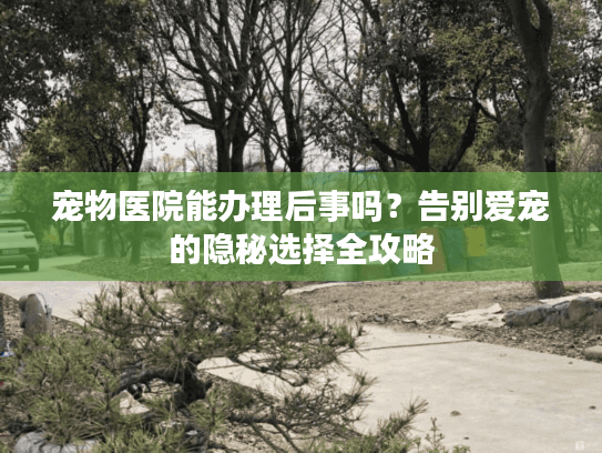 宠物医院能办理后事吗？告别爱宠的隐秘选择全攻略