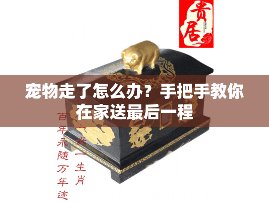 宠物走了怎么办？手把手教你在家送最后一程