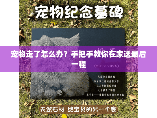 宠物走了怎么办？手把手教你在家送最后一程