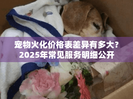 宠物火化价格表差异有多大？2025年常见服务明细公开