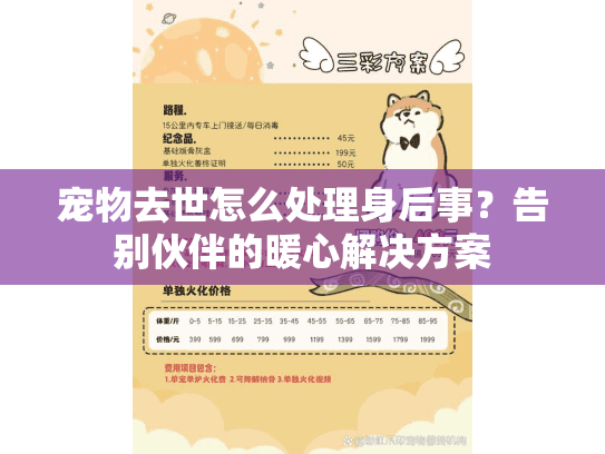 宠物去世怎么处理身后事？告别伙伴的暖心解决方案