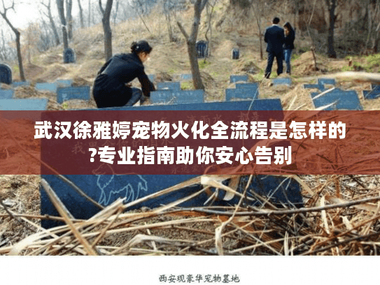 武汉徐雅婷宠物火化全流程是怎样的?专业指南助你安心告别