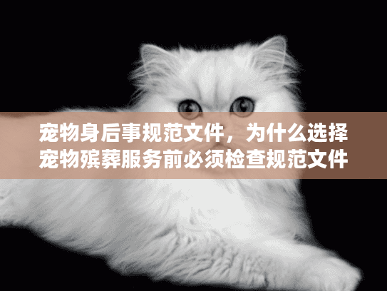 宠物身后事规范文件，为什么选择宠物殡葬服务前必须检查规范文件避免踩坑？