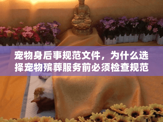 宠物身后事规范文件，为什么选择宠物殡葬服务前必须检查规范文件避免踩坑？