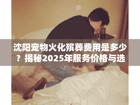 沈阳宠物火化殡葬费用是多少？揭秘2025年服务价格与选择策略