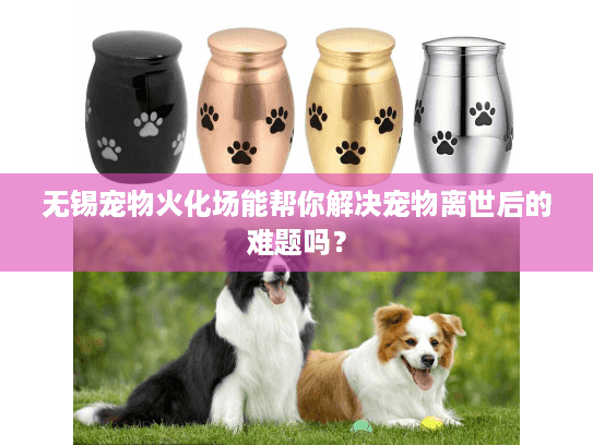 无锡宠物火化场能帮你解决宠物离世后的难题吗？