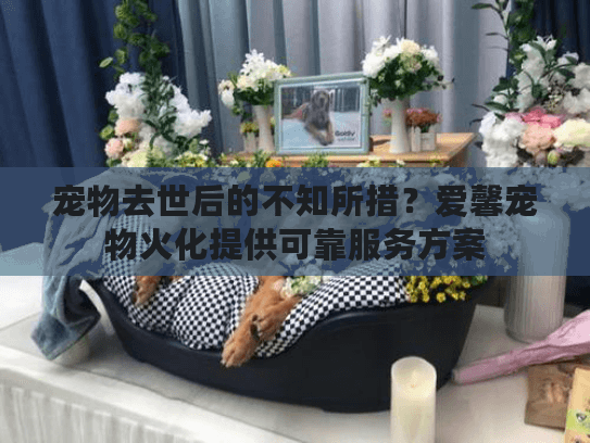 宠物去世后的不知所措？爱馨宠物火化提供可靠服务方案
