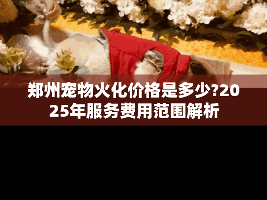 郑州宠物火化价格是多少?2025年服务费用范围解析