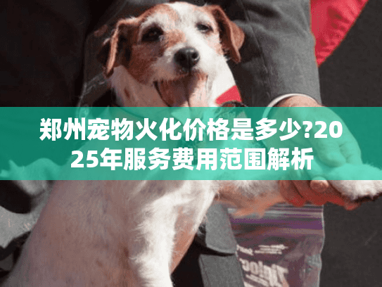 郑州宠物火化价格是多少?2025年服务费用范围解析