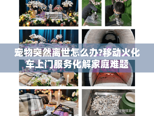 宠物突然离世怎么办?移动火化车上门服务化解家庭难题