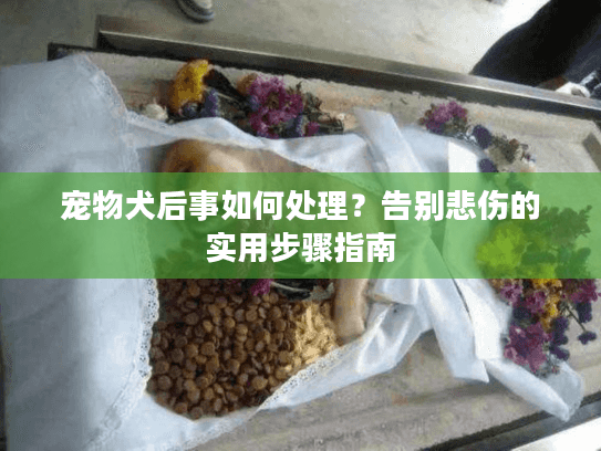 宠物犬后事如何处理？告别悲伤的实用步骤指南