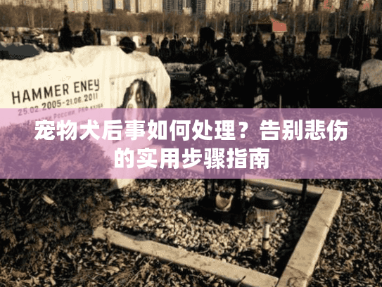宠物犬后事如何处理？告别悲伤的实用步骤指南