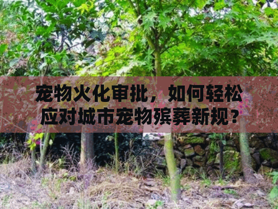 宠物火化审批，如何轻松应对城市宠物殡葬新规？