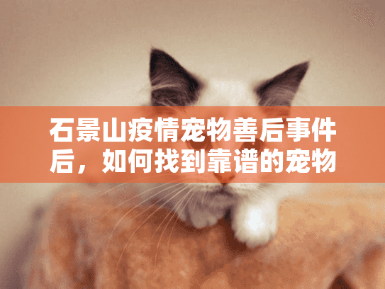 石景山疫情宠物善后事件后，如何找到靠谱的宠物殡葬服务？内行人揭秘3个关键标准