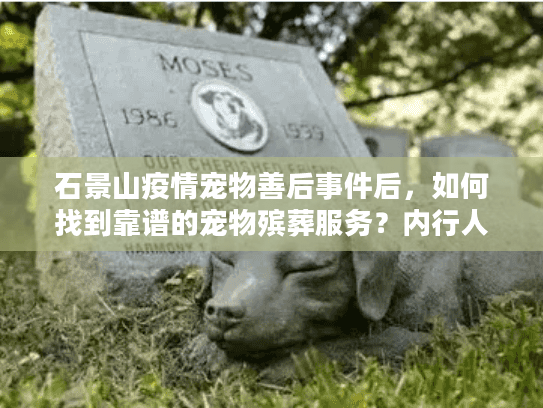 石景山疫情宠物善后事件后，如何找到靠谱的宠物殡葬服务？内行人揭秘3个关键标准