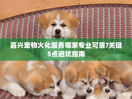 嘉兴宠物火化服务哪家专业可靠?关键5点避坑指南