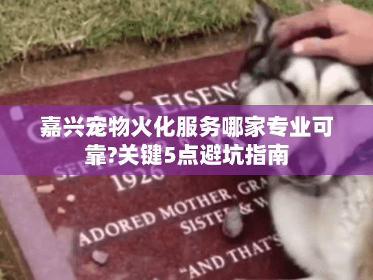 嘉兴宠物火化服务哪家专业可靠?关键5点避坑指南