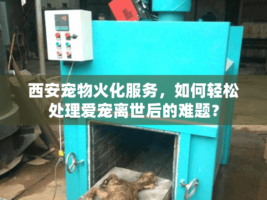 西安宠物火化服务，如何轻松处理爱宠离世后的难题？