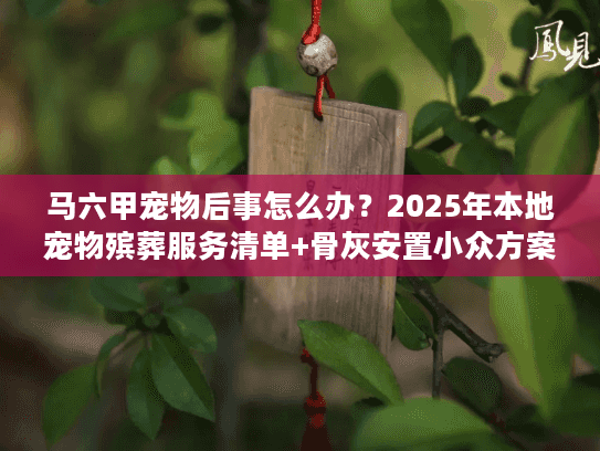 马六甲宠物后事怎么办？2025年本地宠物殡葬服务清单+骨灰安置小众方案