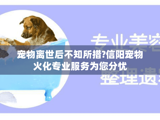 宠物离世后不知所措?信阳宠物火化专业服务为您分忧