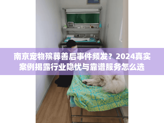 南京宠物殡葬善后事件频发？2024真实案例揭露行业隐忧与靠谱服务怎么选