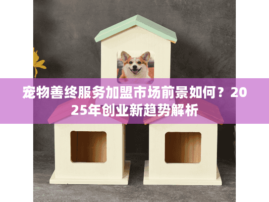 宠物善终服务加盟市场前景如何？2025年创业新趋势解析