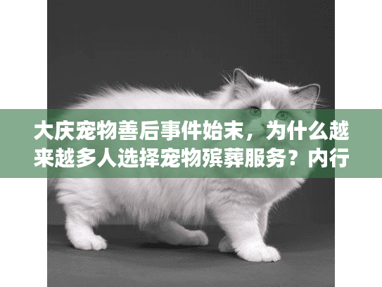 大庆宠物善后事件始末，为什么越来越多人选择宠物殡葬服务？内行人透露3个关键
