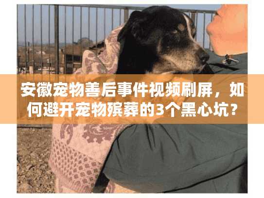 安徽宠物善后事件视频刷屏，如何避开宠物殡葬的3个黑心坑？内附合规机构清单）