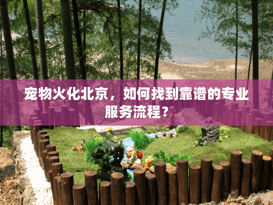 宠物火化北京，如何找到靠谱的专业服务流程？