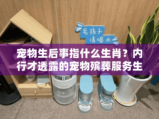 宠物生后事指什么生肖?内行才透露的宠物殡葬服务生肖寓意与实操细节 宠物生后事指什么生肖?内行才透露的宠物殡葬服务生肖寓意与实操细节