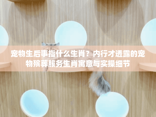 宠物生后事指什么生肖?内行才透露的宠物殡葬服务生肖寓意与实操细节 宠物生后事指什么生肖?内行才透露的宠物殡葬服务生肖寓意与实操细节