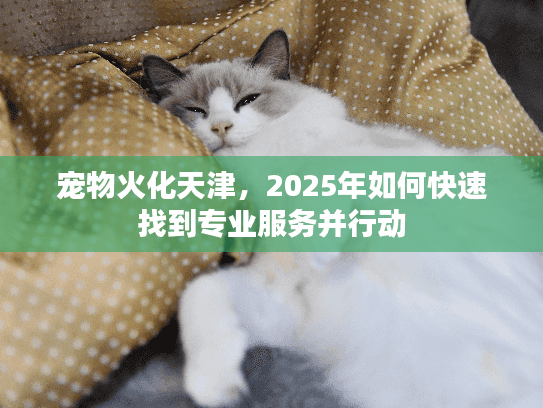 宠物火化天津，2025年如何快速找到专业服务并行动