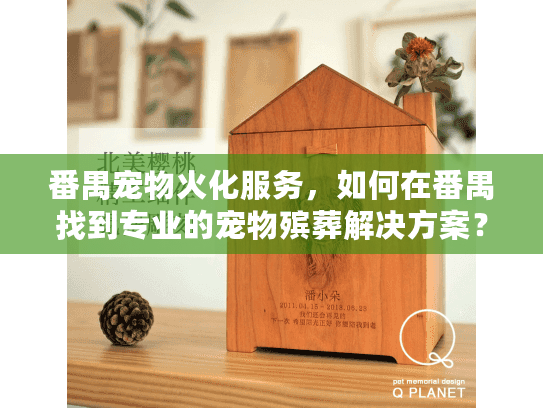 番禺宠物火化服务，如何在番禺找到专业的宠物殡葬解决方案？